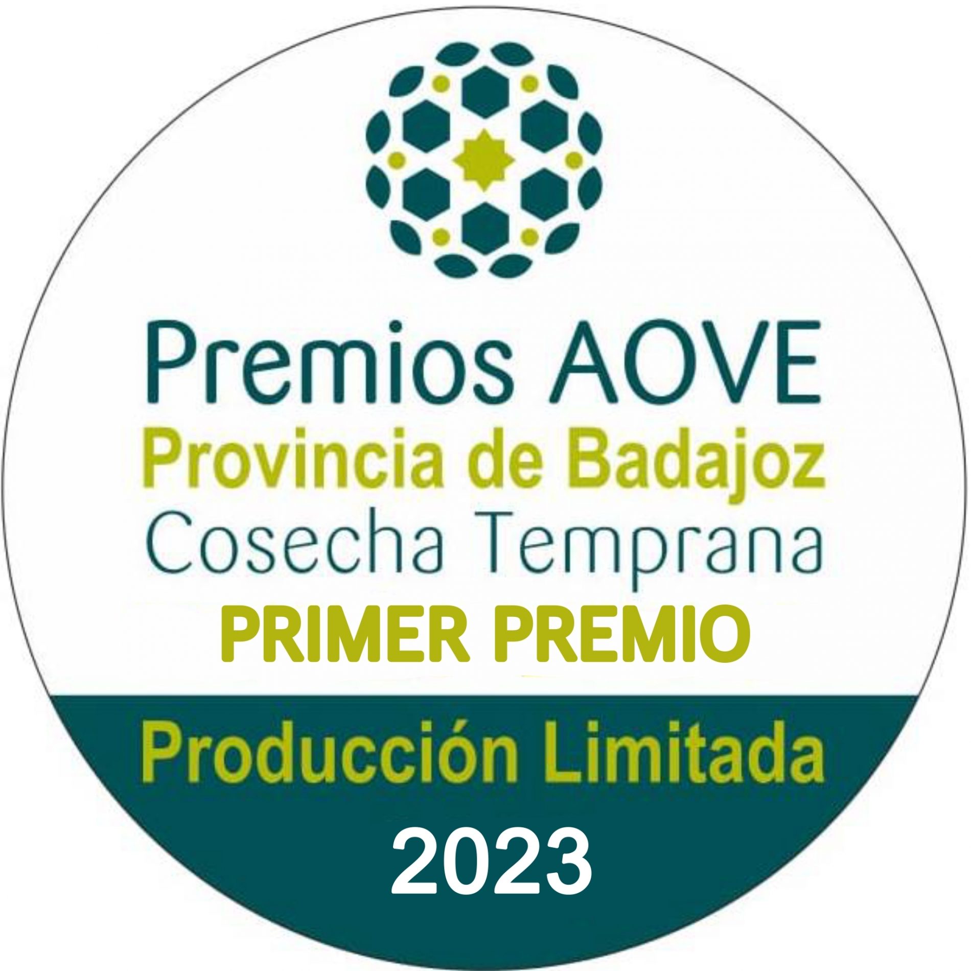 Primer premio Diputación 2023