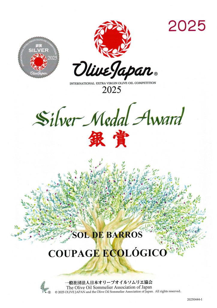 Diploma premio AOVE en Japón
